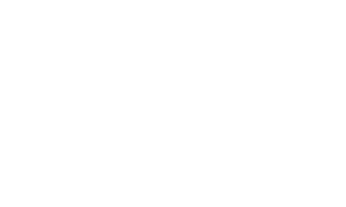 logoserviveloz-vektor
